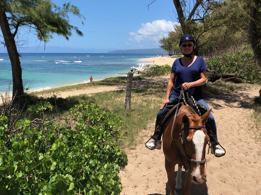 Hawaii Polo Club-瓦亚禄必去景点