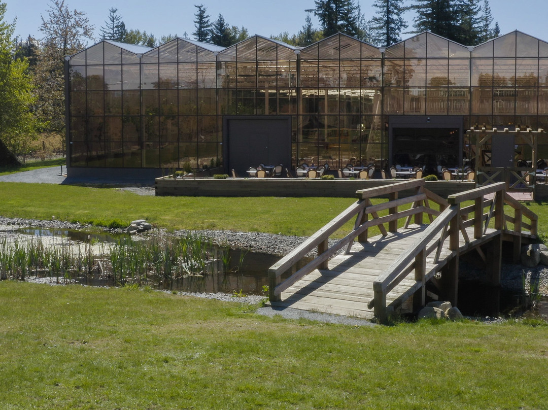Glass House Estate Winery景点图片