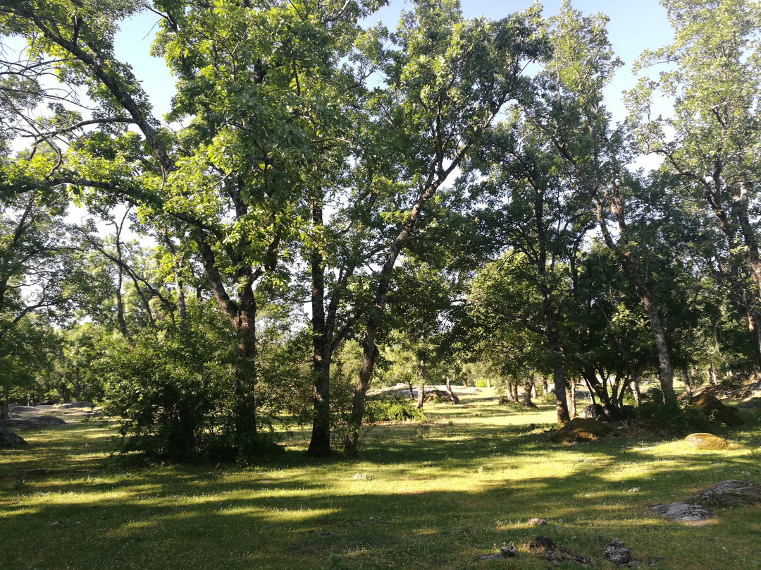 Bosque de la Herreria景点图片