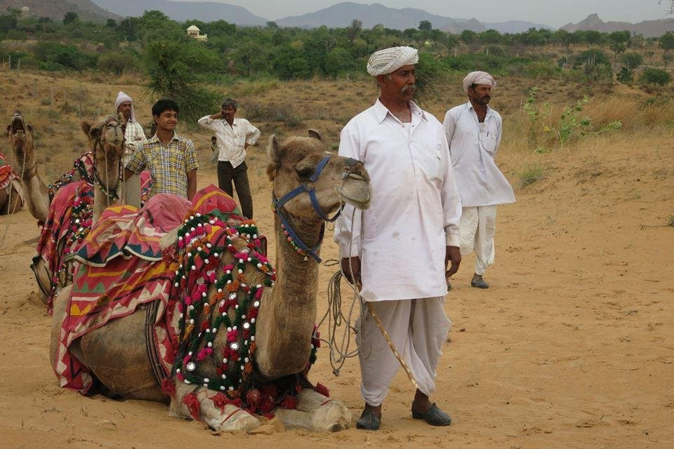 Discover India Tours Pvt Ltd-新德里必去景点