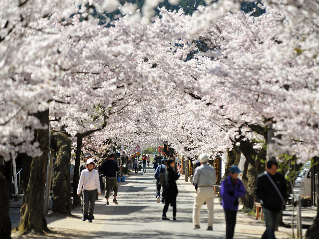 Izumo Kaido Shinjoshuku Yadobacho Historical Preservation Area-新庄村必去景点