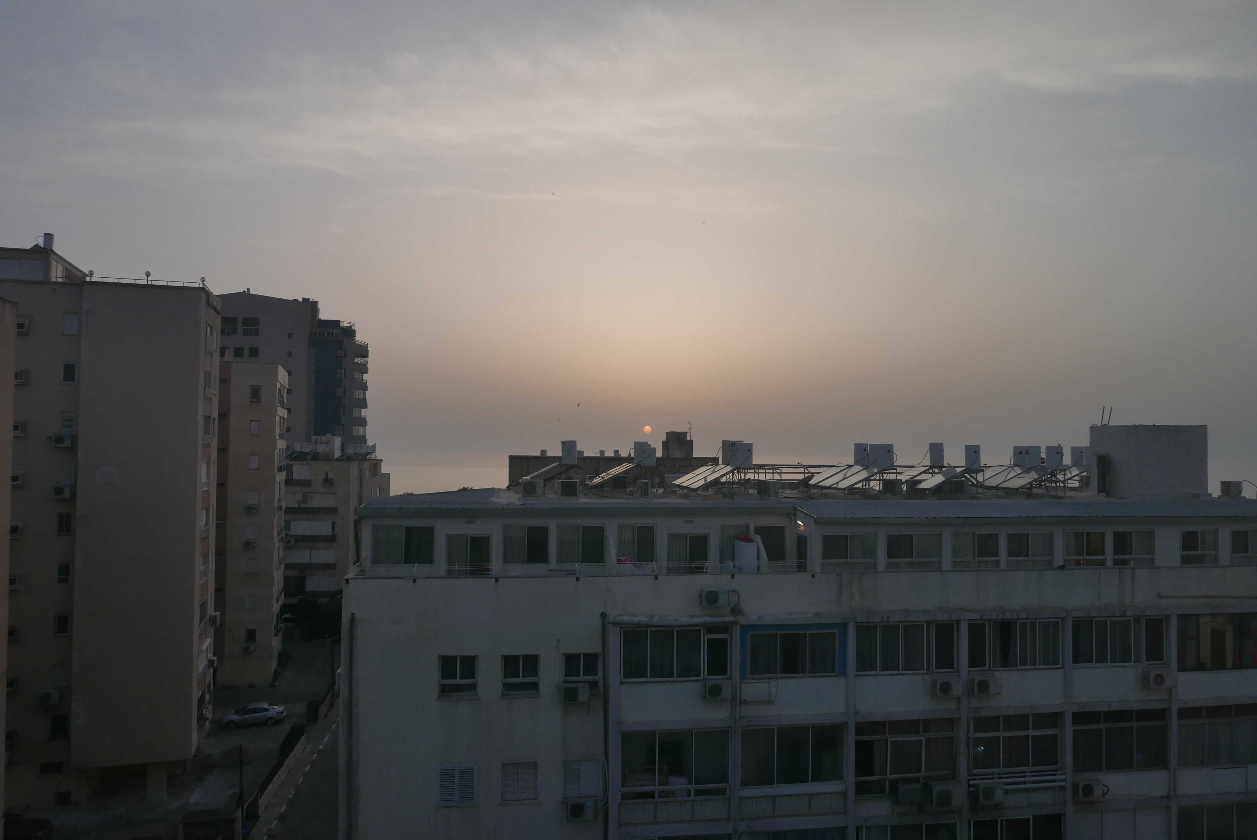 Leonardo Plaza Netanya Hotel-酒店景观
