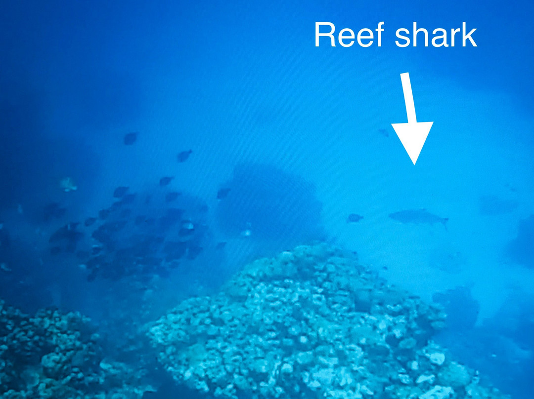 Devil's Grotto-大开曼岛必去景点