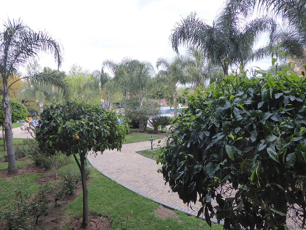 Hotel Menzeh Dalia主图