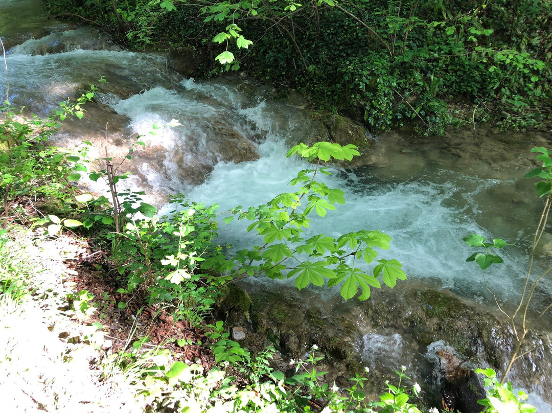 Susara Waterfall景点图片