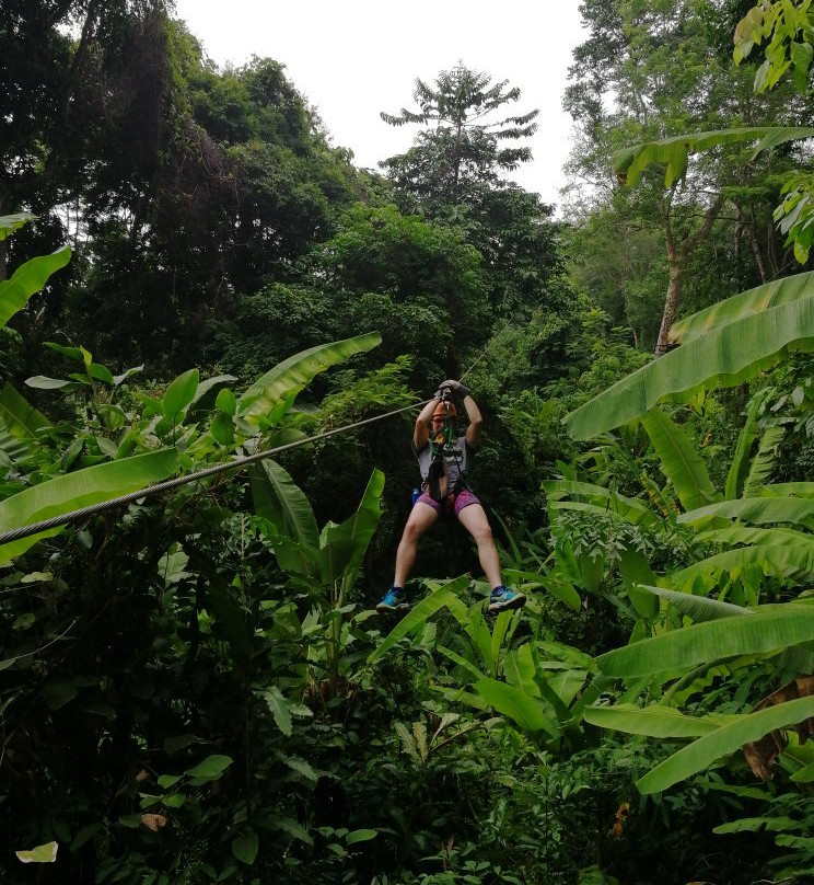 Cable Jungle Adventure景点图片