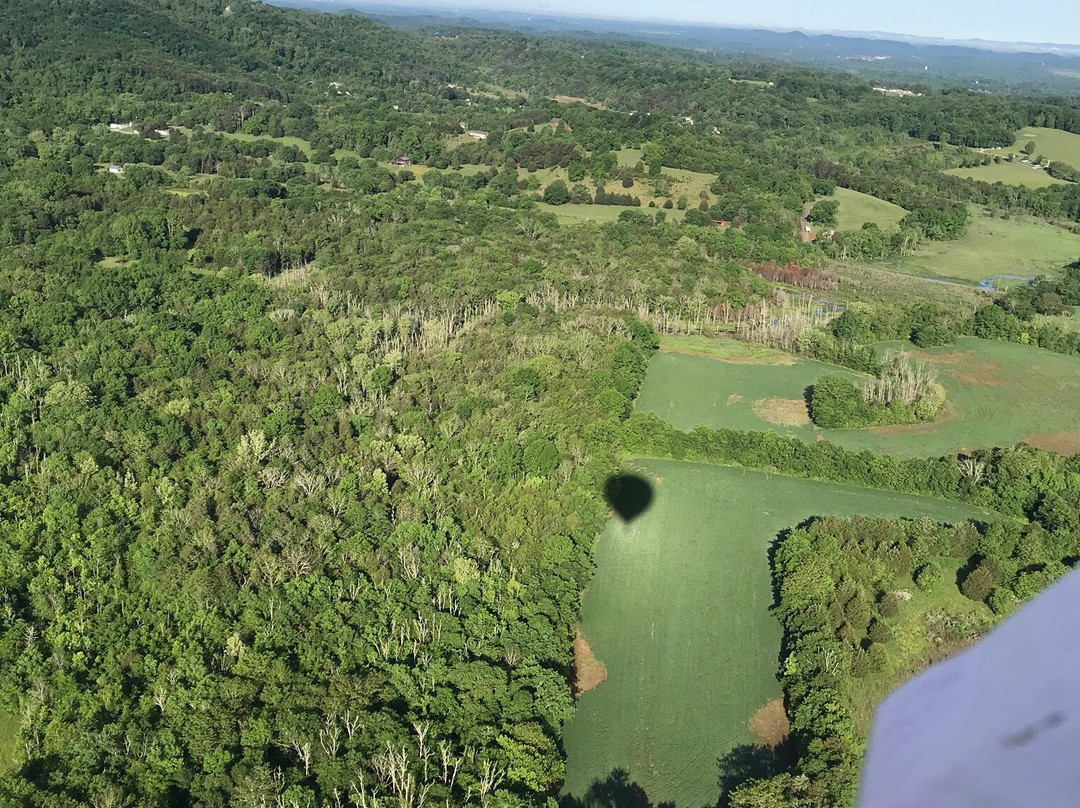 Whats Up Ballooning-New Market必去景点
