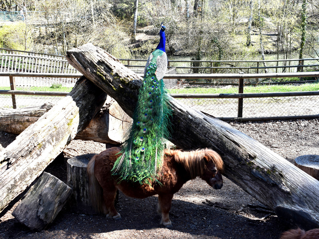 Parc aux animaux du Bois de la Bâtie景点图片