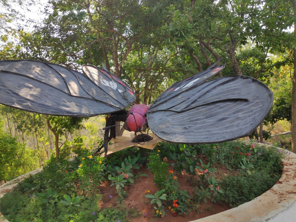 Butterfly Park-班加罗尔必去景点