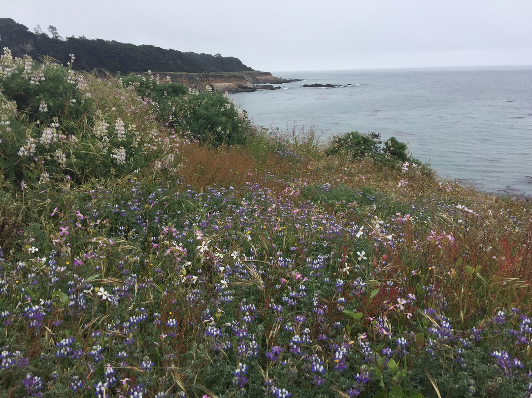 San Simeon State Park景点图片