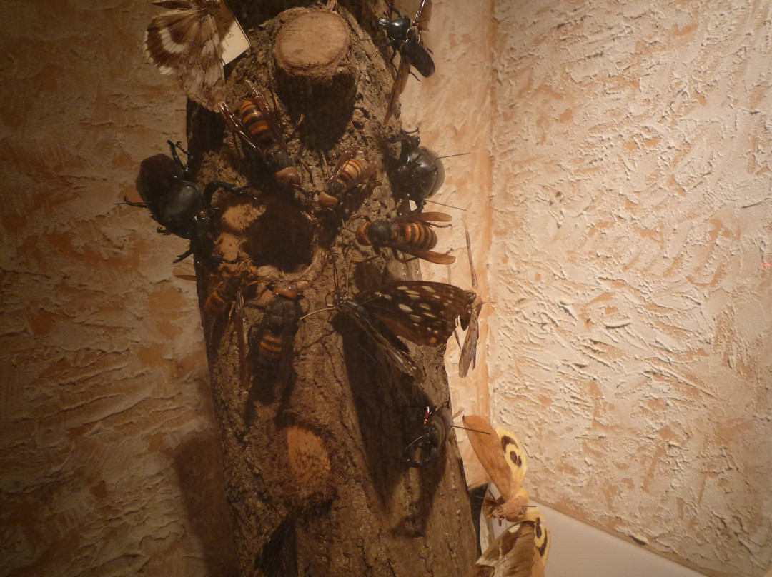 L'Oustal del Felibre di Tavan-Sendagi必去景点