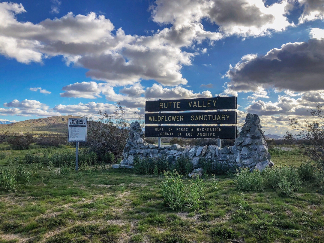 Butte Valley Wildflower Sanctuary-兰开斯特必去景点