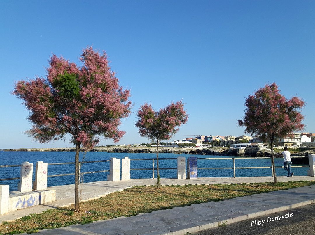 Lungomare Portavecchia