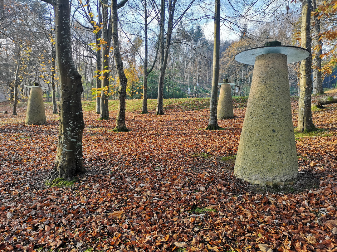 Devon Sculpture Park景点图片