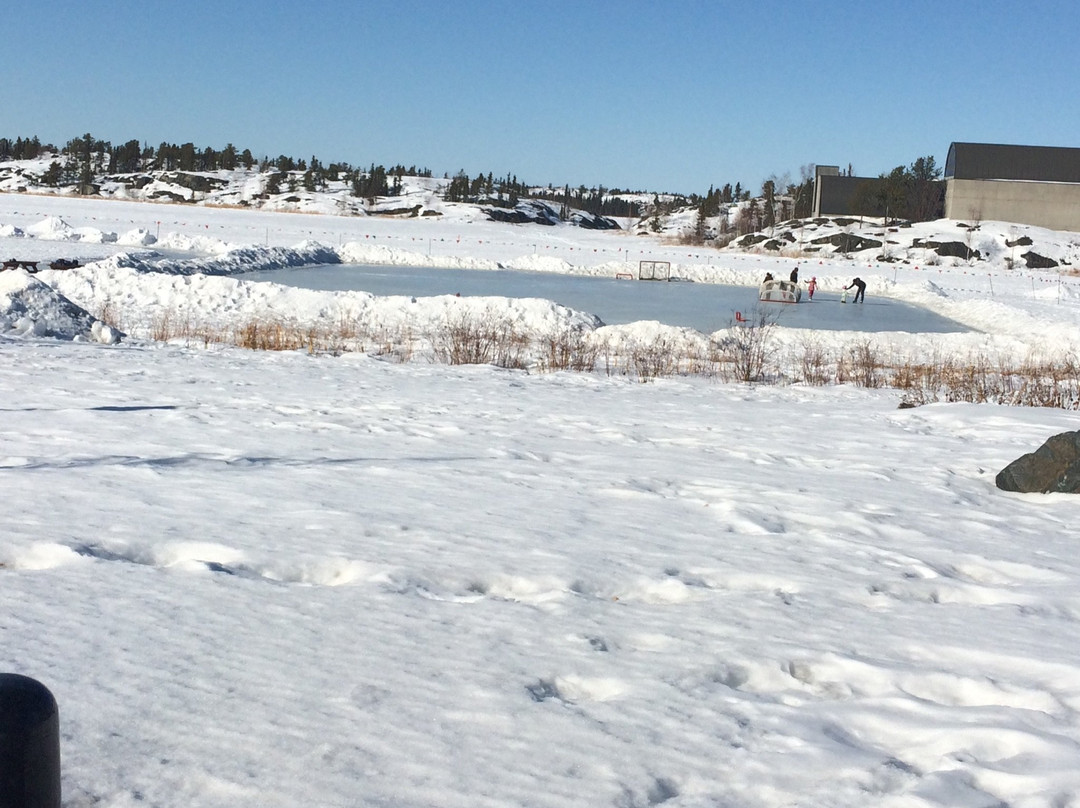 Yellowknife City Hall & Park-黄刀镇必去景点