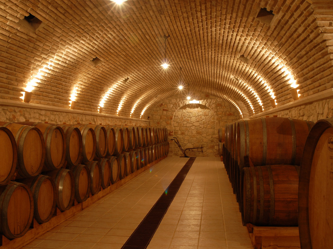 Solomos Wines景点图片