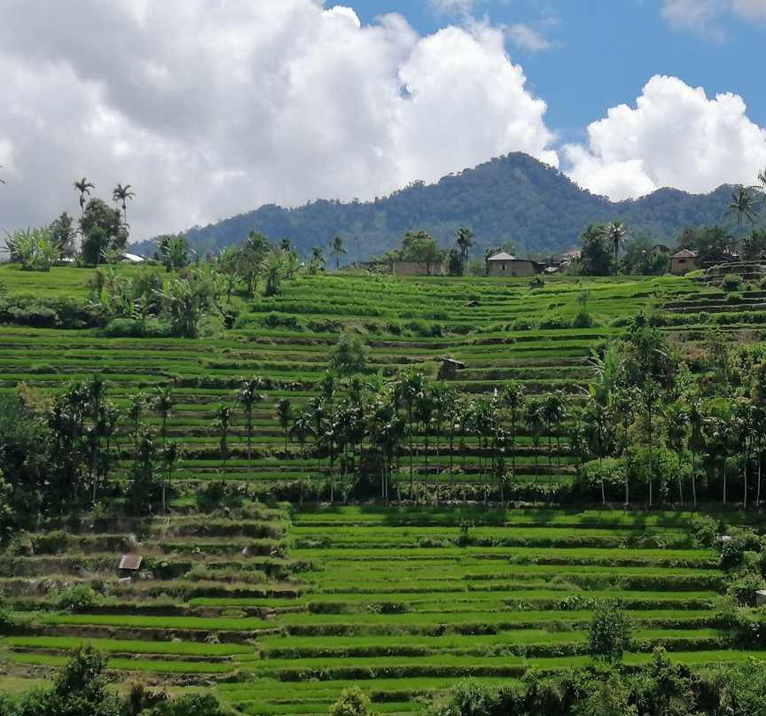 MAC Tours-Padang Pariaman必去景点