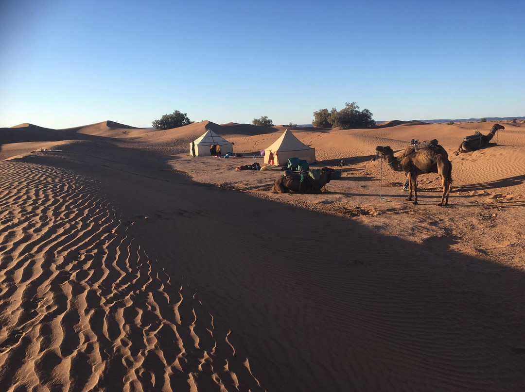 Sables Emouvants-迈哈米德必去景点