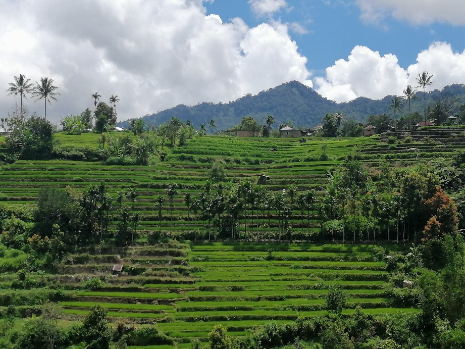 MAC Tours-Padang Pariaman必去景点
