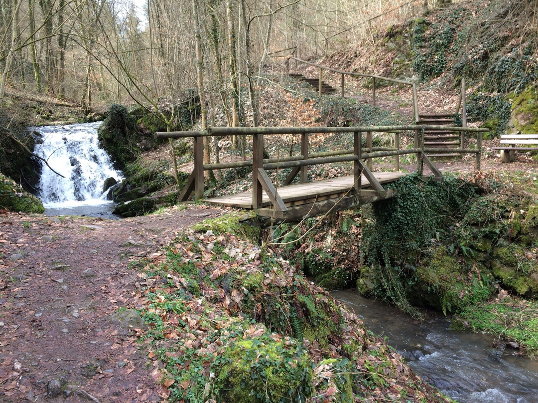 施万恩维赫酒店主图