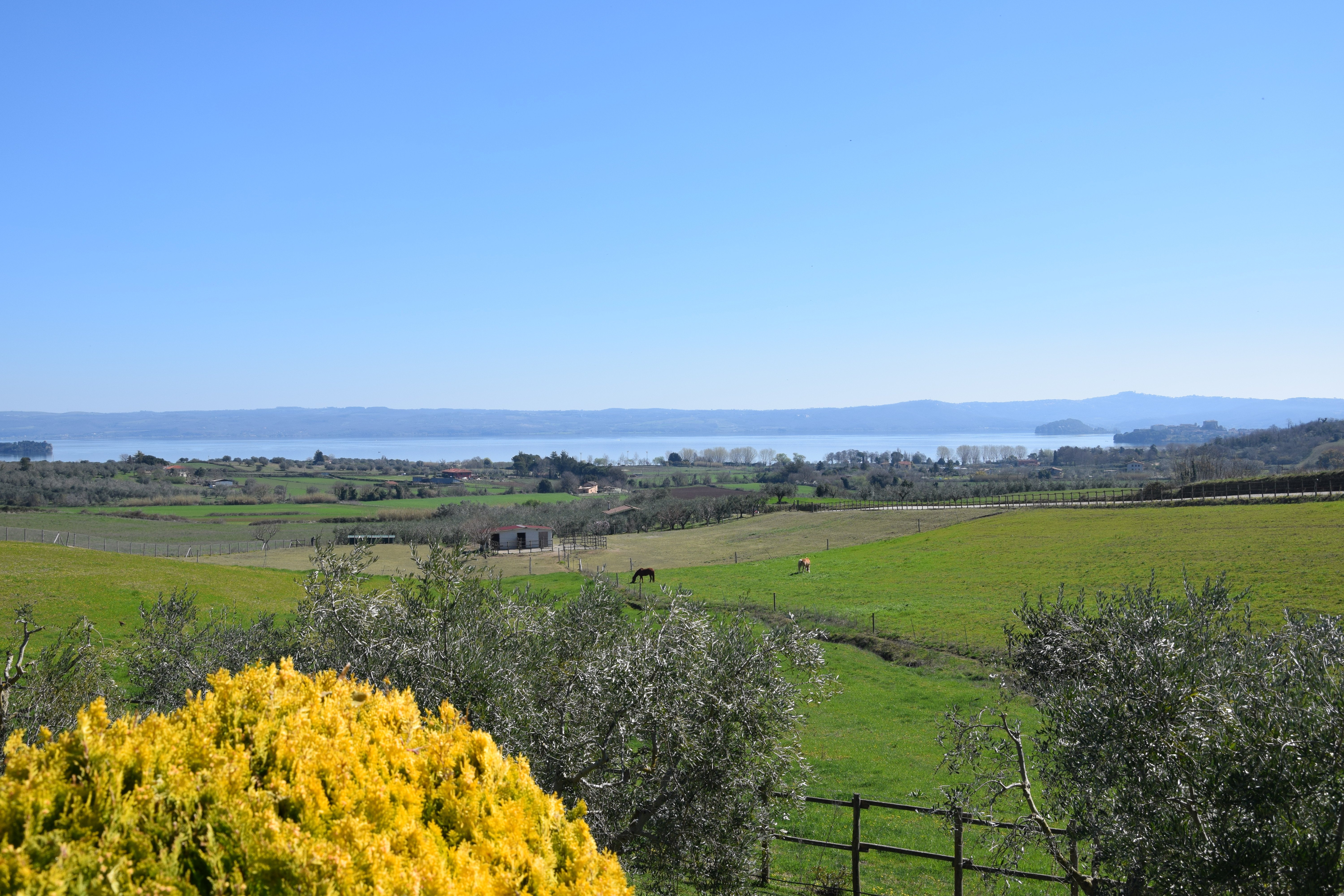 Agriturismo Le Ginestre-酒店景观