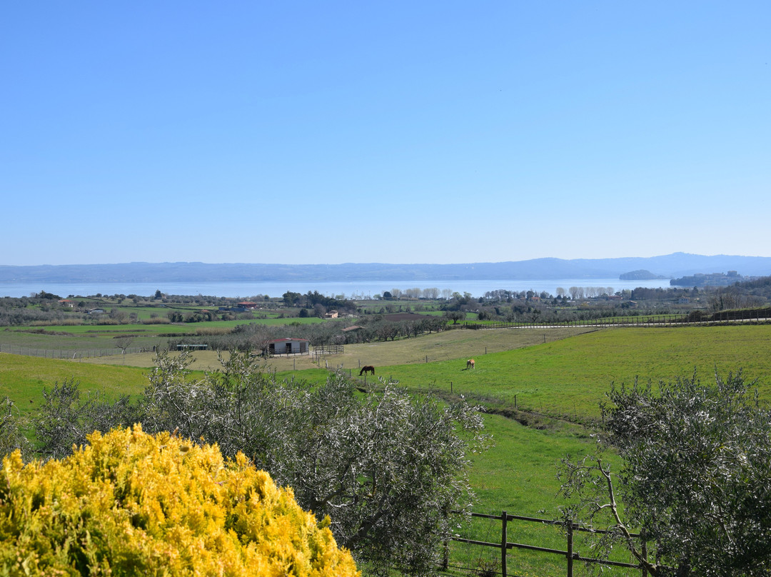 Agriturismo Le Ginestre主图