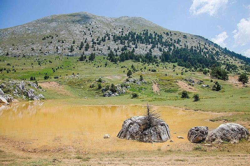 Sparta Municipality旅游攻略图片