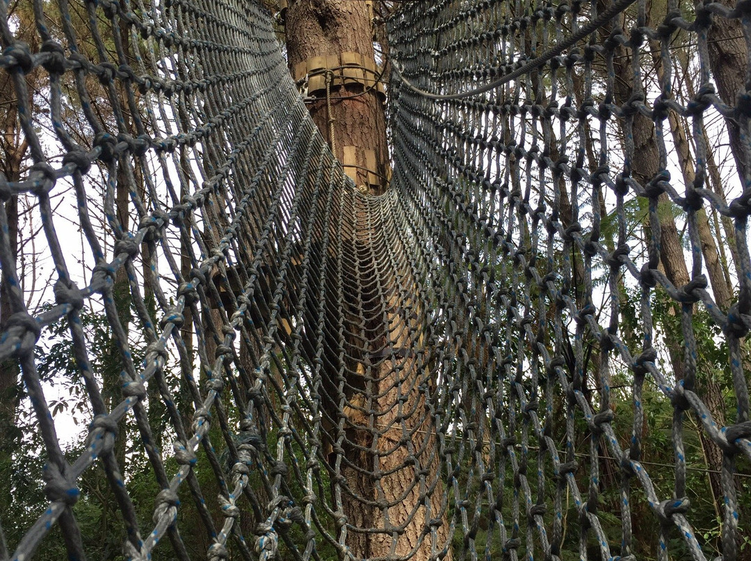 Adventure Forest景点图片