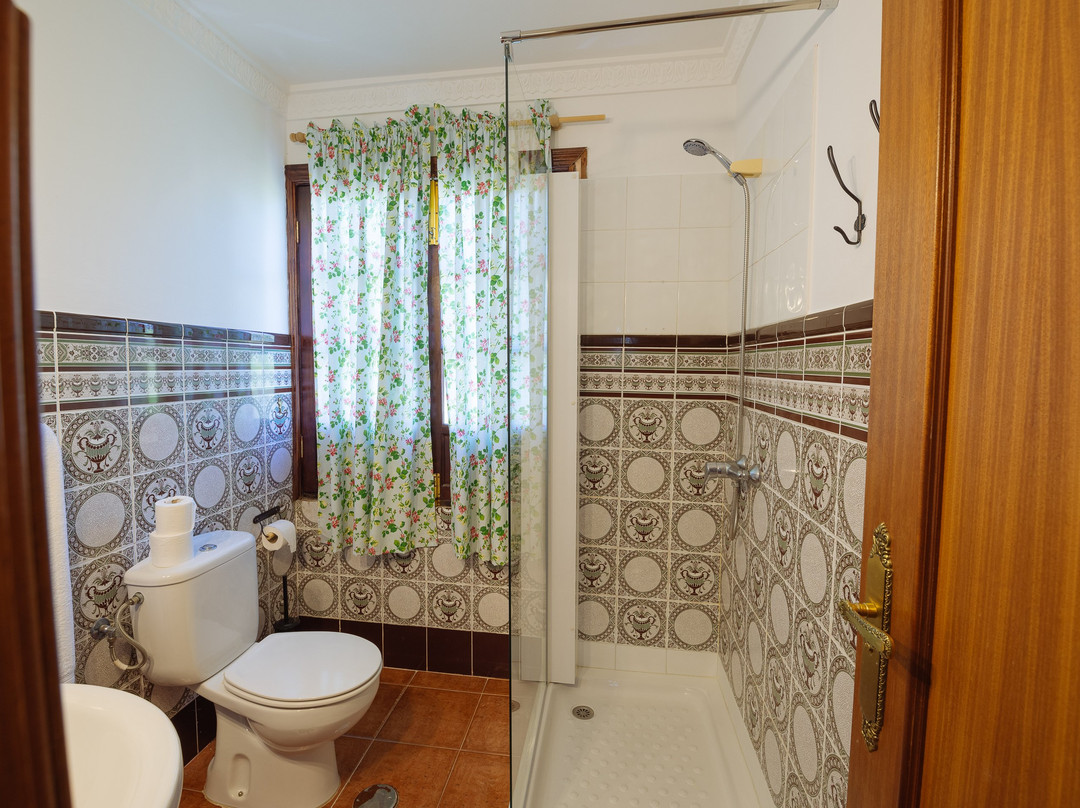 Fasnia酒店住宿-Hotel Rural Villa Ariadna