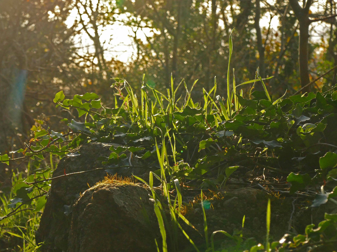 Sentier le Peyron-格里莫必去景点