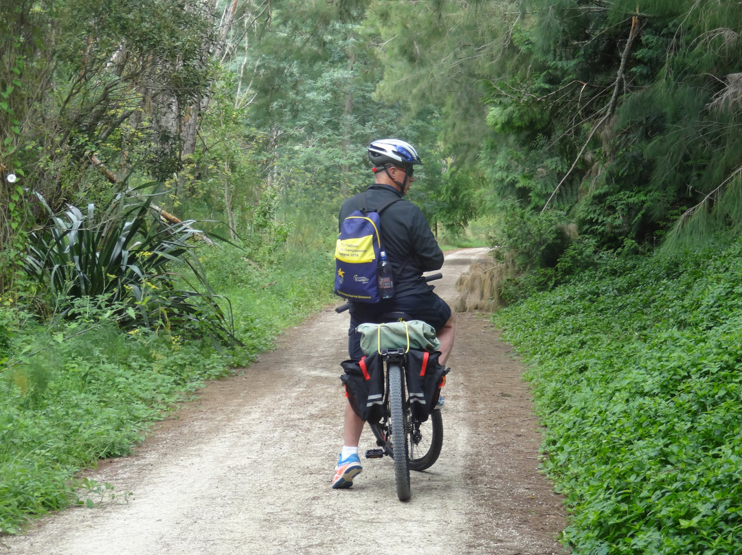 Bike About Tours-纳皮尔必去景点