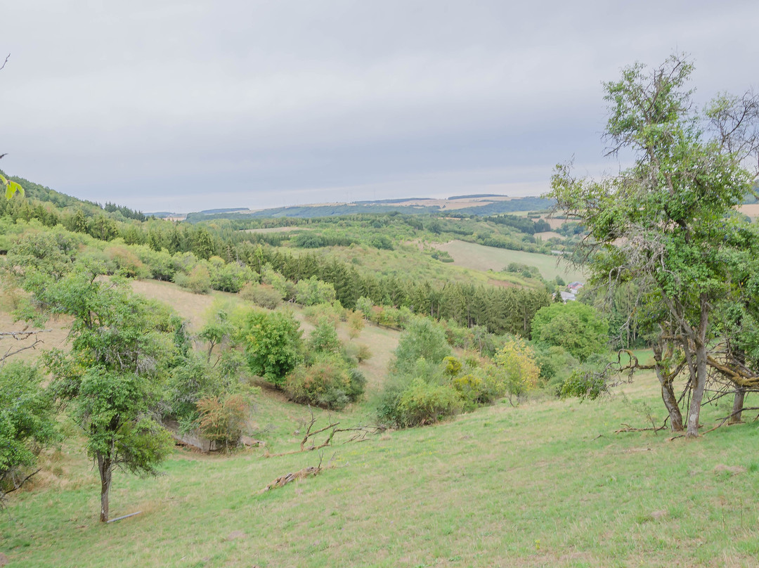 Felsenweg 1景点图片