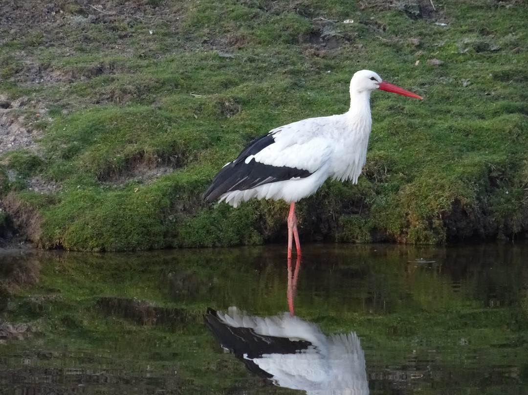 Park Lingezegen-Elst必去景点