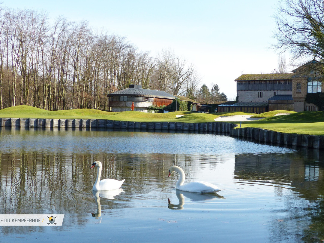 Le Golf du Kempferhof景点图片