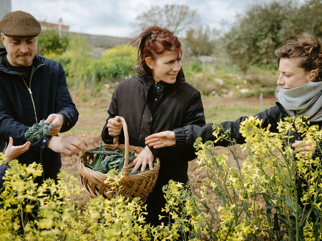 Tour by Me-洛科罗通多必去景点