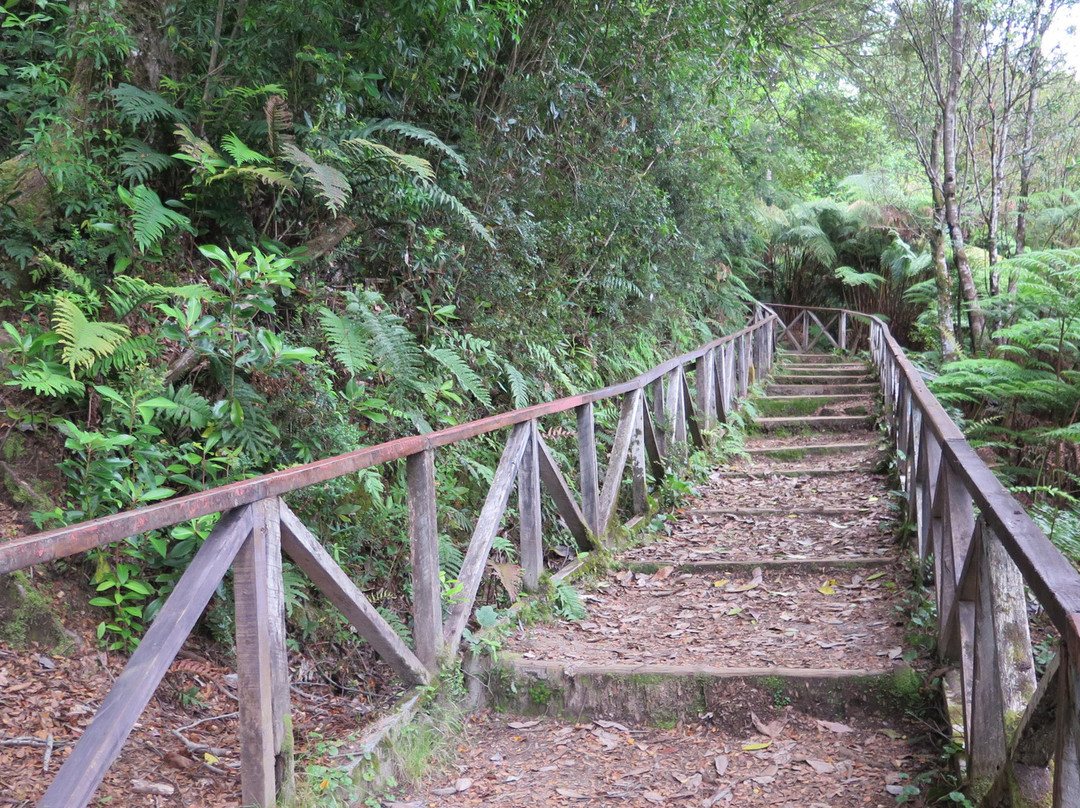 Mirador Chaiten-Chaiten必去景点