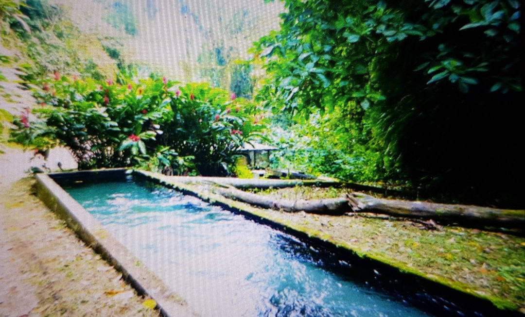 Plantation Leyritz-Basse-Pointe必去景点