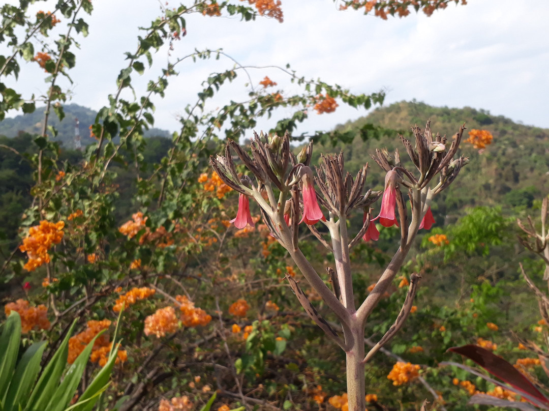Paso del Mango酒店住宿-Oscar's Place