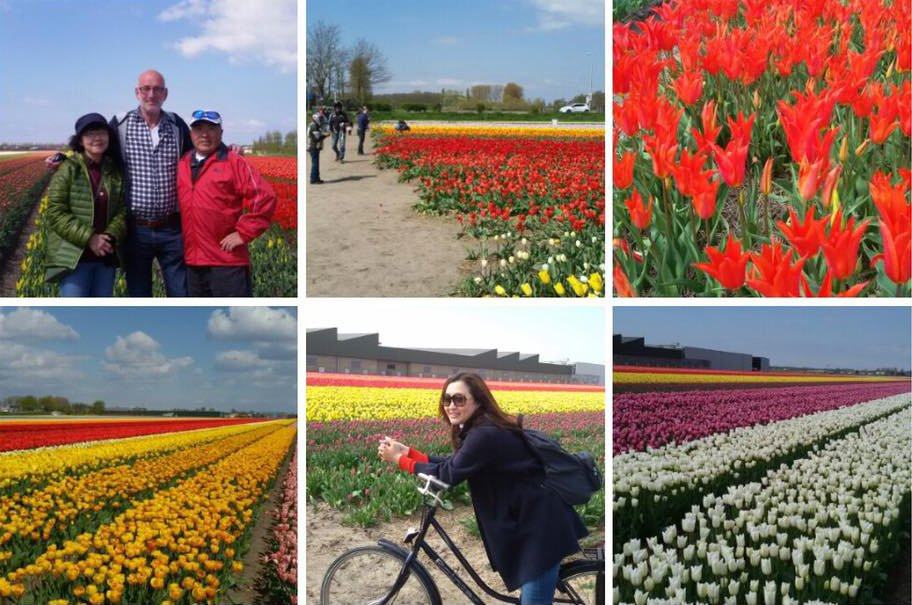 Harry's Tours Holland景点图片
