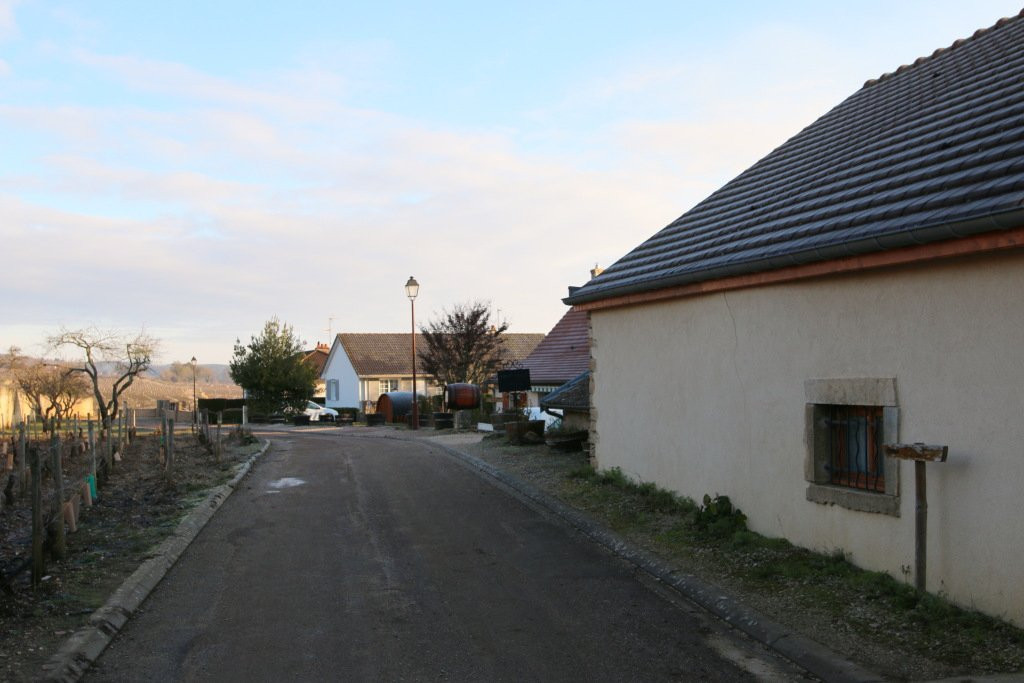 Domaine du Clos Saint-Louis景点图片