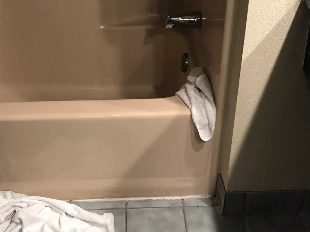 Quality Inn & Suites  Quakertown主图