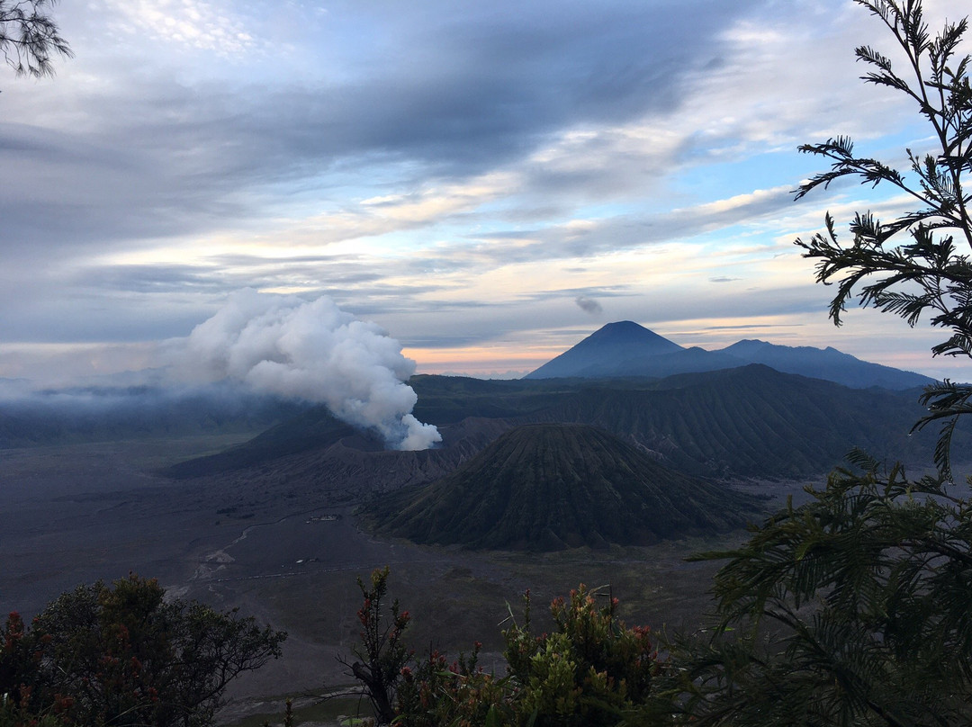 Bromo Explorer-泗水必去景点
