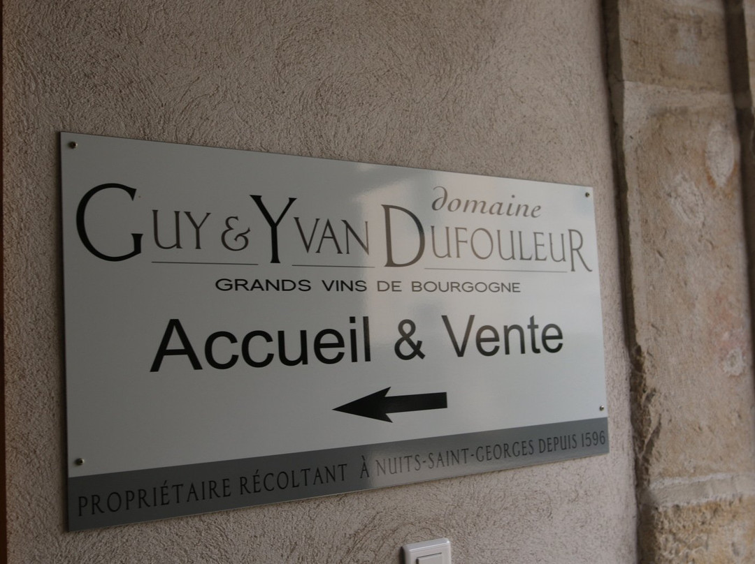 Domaine Guy & Yvan Dufouleur景点图片