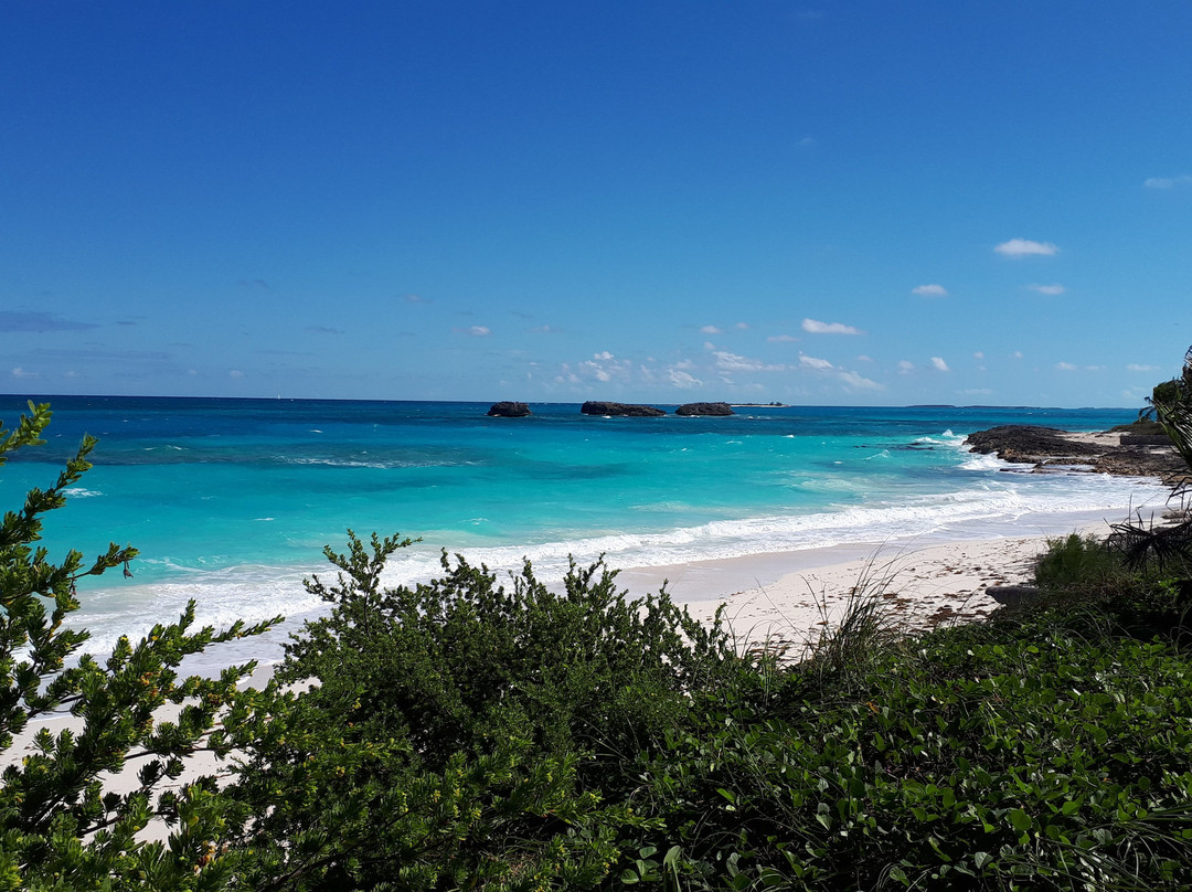 埃克苏马棕榈树酒店主图