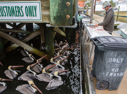 Walker Charters-Saint Augustine Beach必去景点