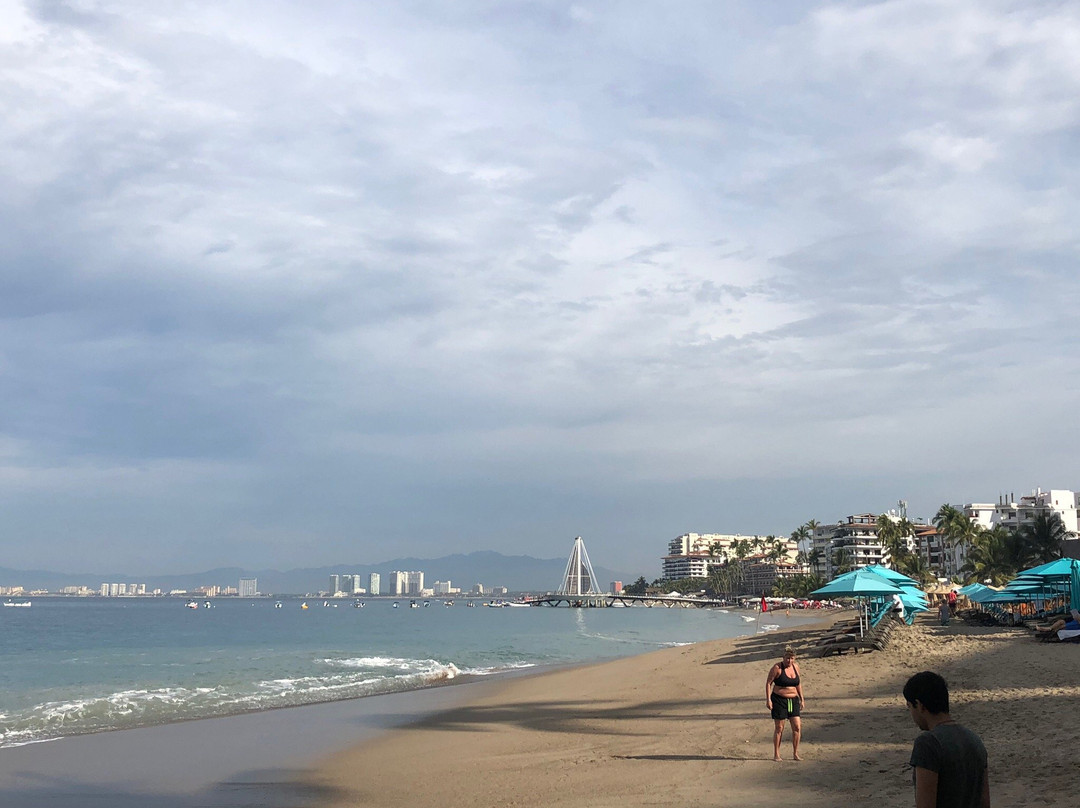 Muelle de Playa Los Muertos景点图片