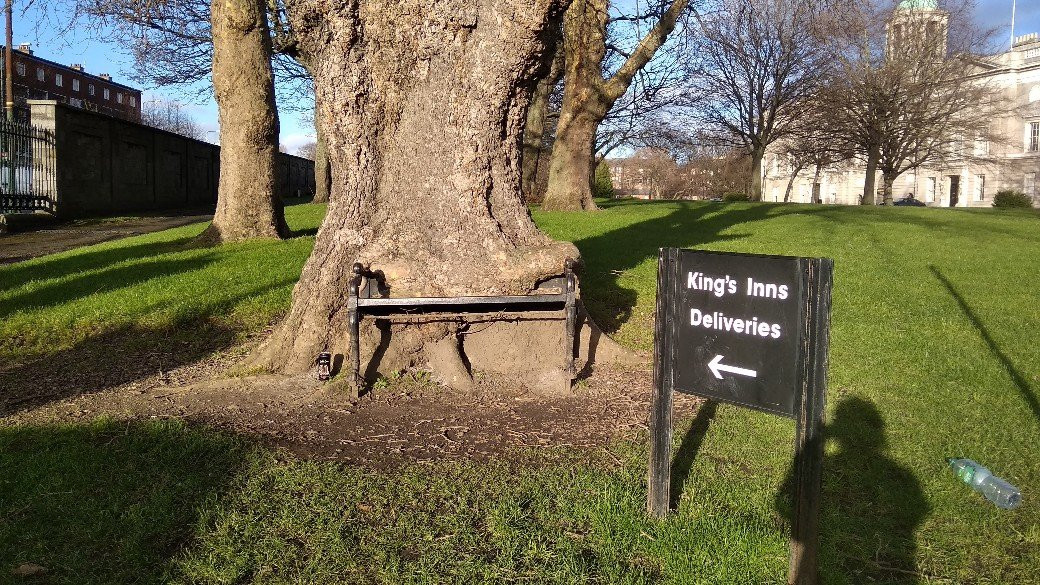 The Hungry Tree-都柏林必去景点