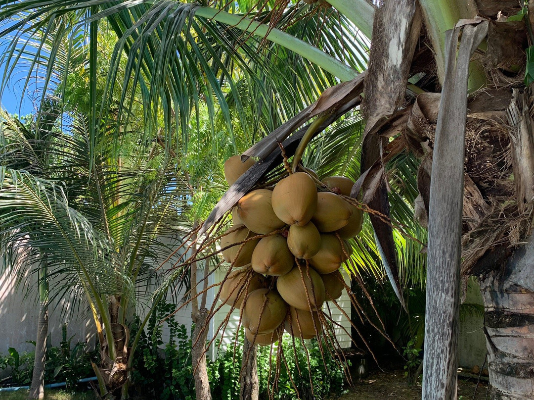 阿姆拉宫酒店主图
