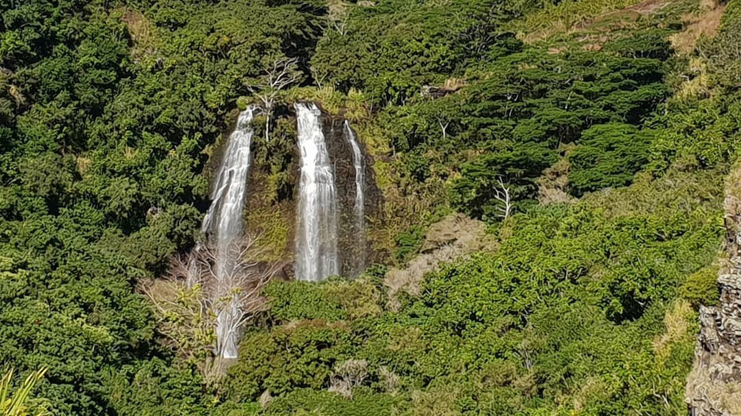 Robert's Hawaii-利胡埃必去景点