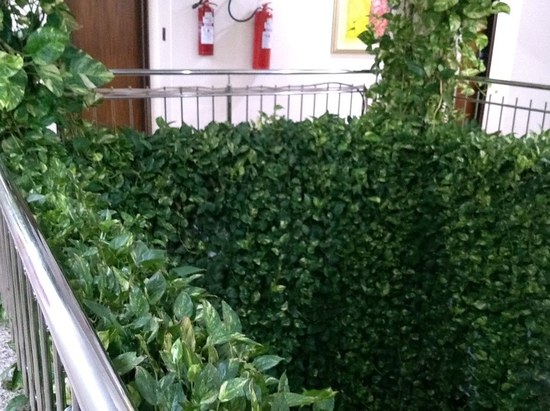 Pousada dos Girassois主图